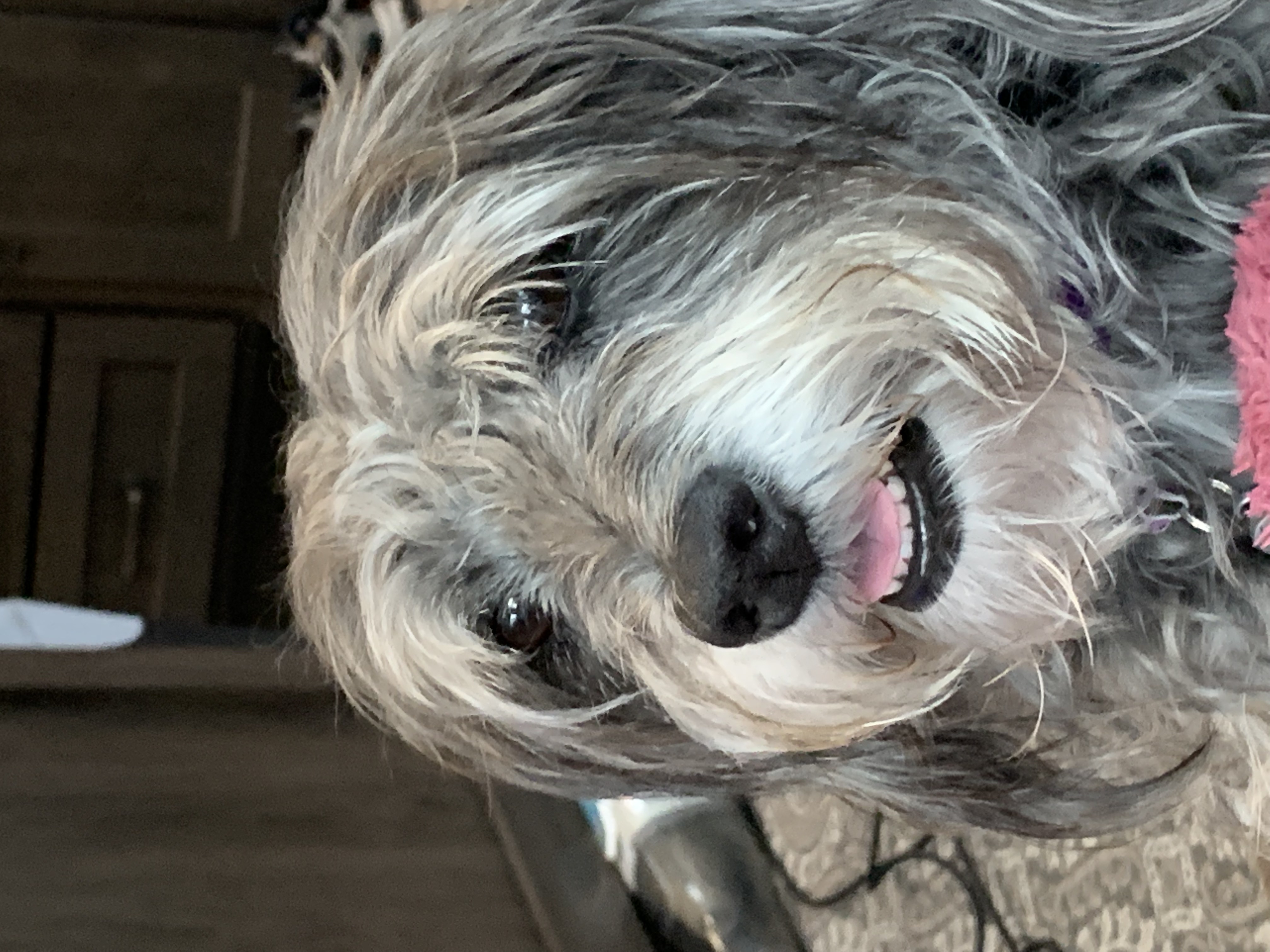 ./2022/01 - Wilmington/IMG_8645.JPG